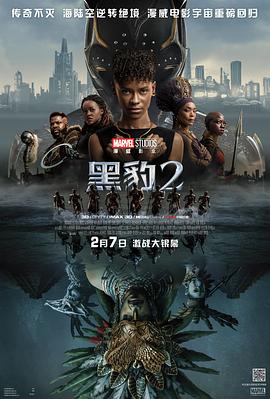 黑豹2国语封面图