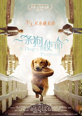 一条狗的使命封面图