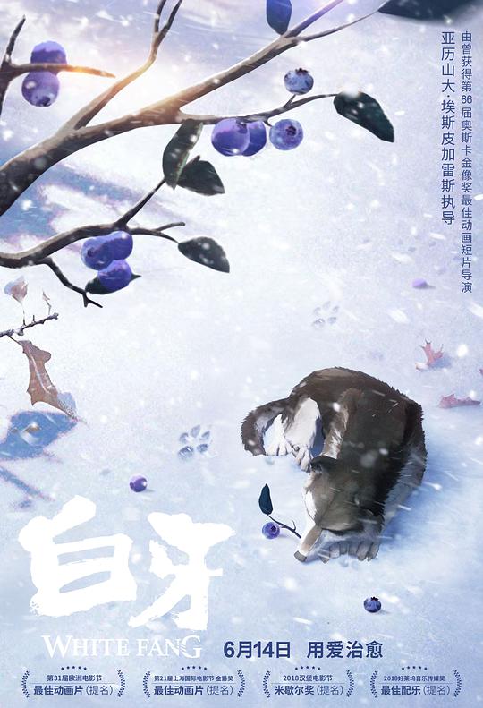 白牙封面图
