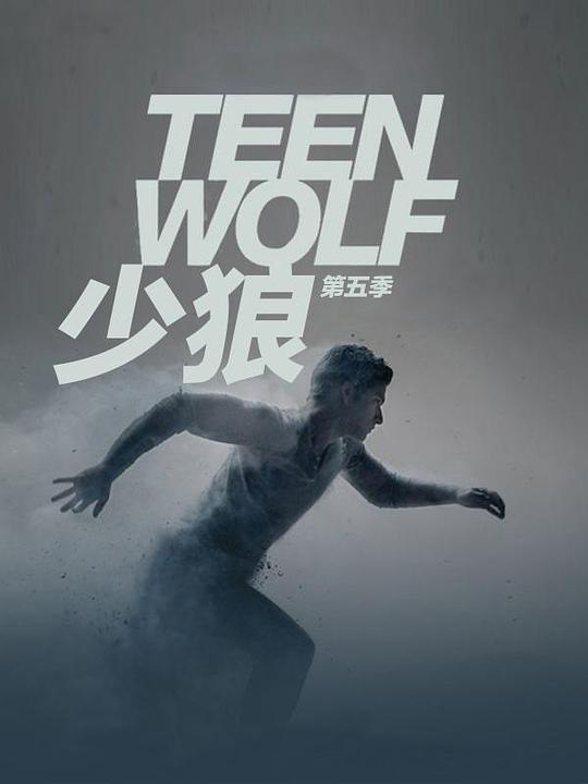 少狼第五季封面图